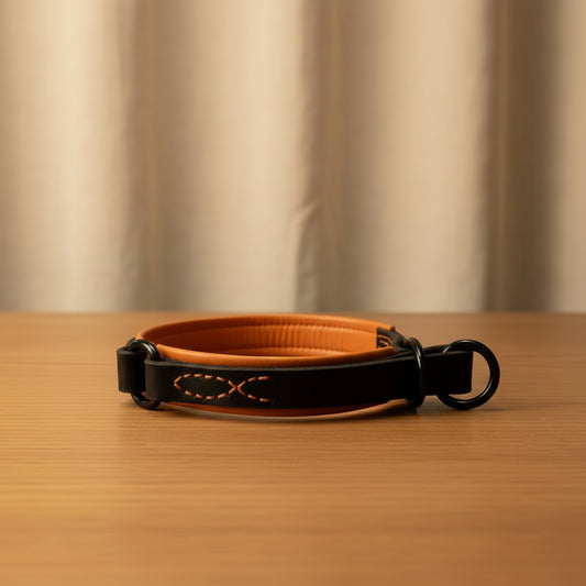 Läderhalsband inifrån