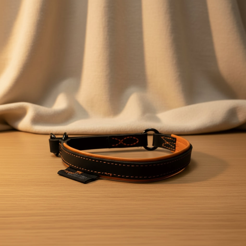 Läderhalsband spänne